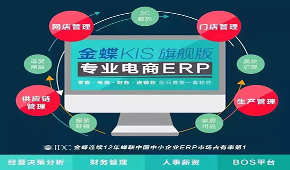 专业电商