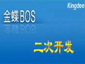 车辆管理系统（二次开发）